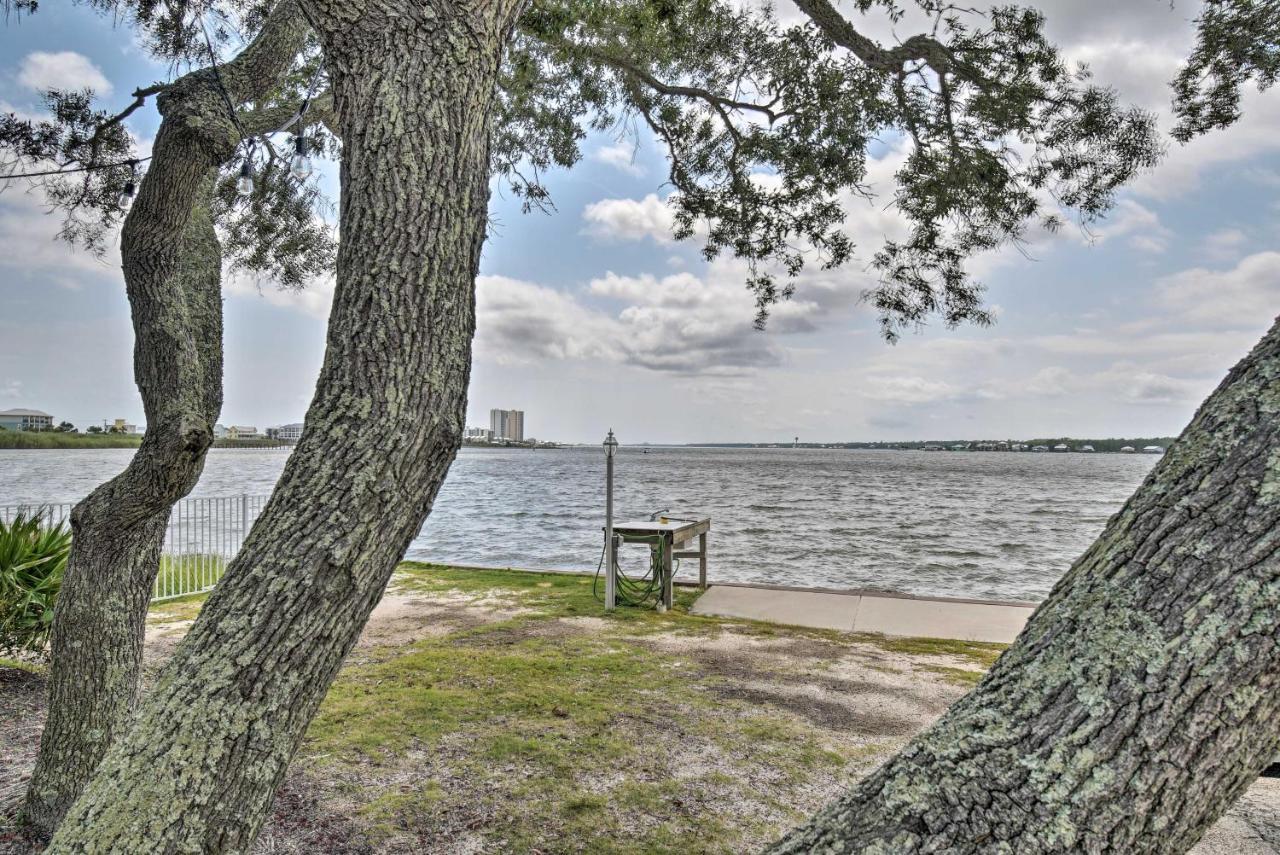 Waterfront Gulf Shores Condo With Patio, Pier And Pool Eksteriør billede